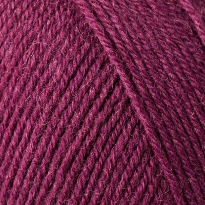 Regia 4 Ply Uni 100g										 - 02747 Burgund