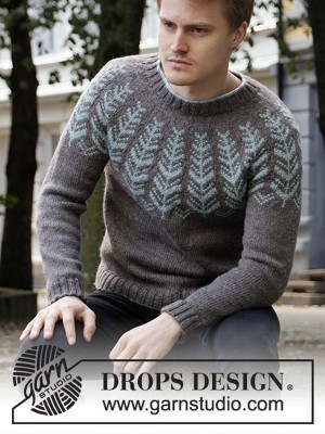 DROPS Inner Circle Sweater in Karisma										