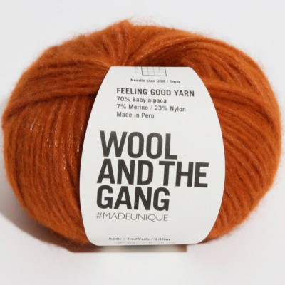 Wool and the Gang Feeling Good Yarn										 - Cinnamon Dust