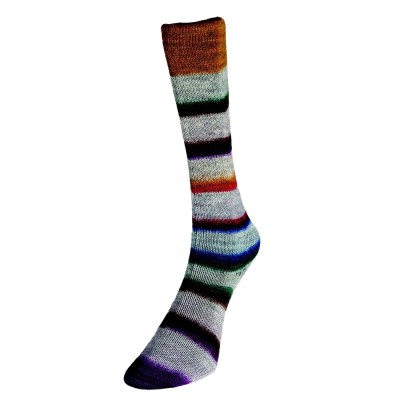 Laughing Hens Super Sock										 - 03 Journey
