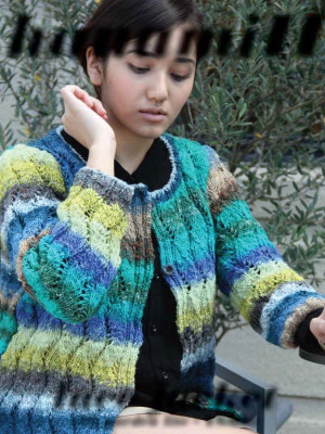 Noro YS-605 Lace Jacket										
