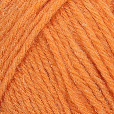 Regia 4 Ply Uni 100g										 - 01054 Kurbis