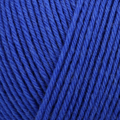 Regia Premium Pure 100g										 - 0053 Bluebird
