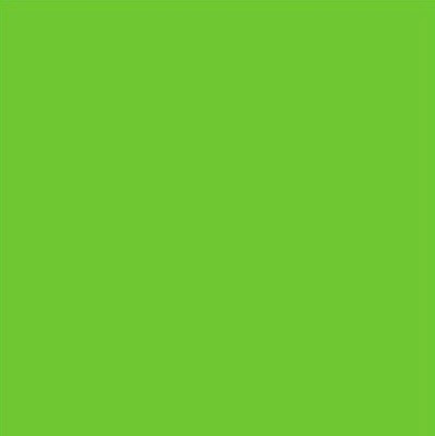 Rico Sock Stop										 - Neon Green