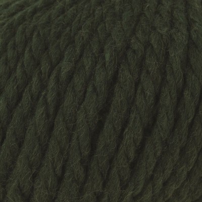 Rowan Big Wool										 - 043 Forest