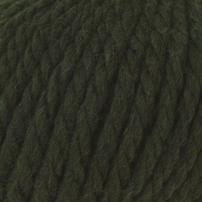 Rowan Big Wool										 - 043 Forest