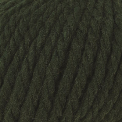 Rowan Big Wool										 - 043 Forest