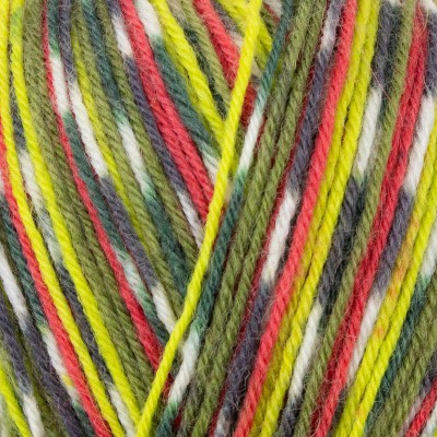 West Yorkshire Spinners Signature 4 Ply										 - 1170 Green Woodpecker