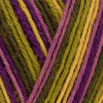 West Yorkshire Spinners Signature 4 Ply										 - 811 Passionfruit Cooler