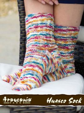 Araucania Anise Socks in Huasco Sock Hand Painted
