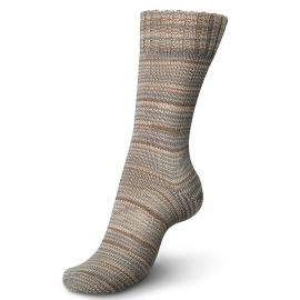 Regia 4 Ply Color 100g