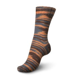 Regia 4 Ply Color 100g