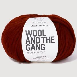 Wool and the Gang Crazy Sexy Wool