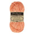 816 Coral