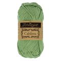 212 Sage Green