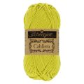 245 Green Yellow