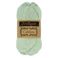 402 Silver Green