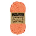 410 Rich Coral