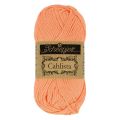 524 Apricot