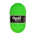 2011 Neon Green