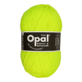 2012 Neon Yellow