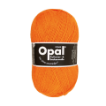 2013 Neon Orange