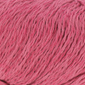 5241 Raspberry