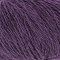 5243 Damson