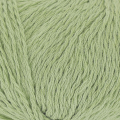 5247 Fennel