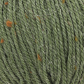 6234 Fern