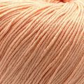 3412 Apricot