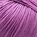 3414 Periwinkle