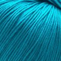 3428 Teal