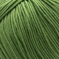 3448 Spring Green