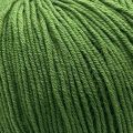 3449 Grass Green