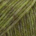 46 UNI Dark olive
