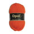 5181 Orange
