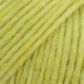 60 UNI Bright Olive