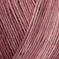 Regia Premium Silk Color