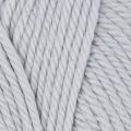 10011 Silver