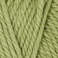 10016 Olive