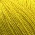 311 Daffodil Yellow
