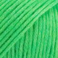 43 MIX Parrot Green