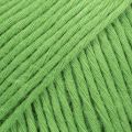 39 UNI Spring Green