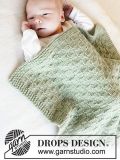 Little Things Baby Blanket