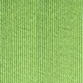1703 Kiwi