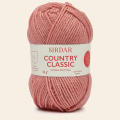 856 Coral