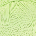 3531 Celery