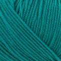2634 Teal