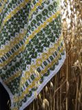 Dreaming in the Park Shawl